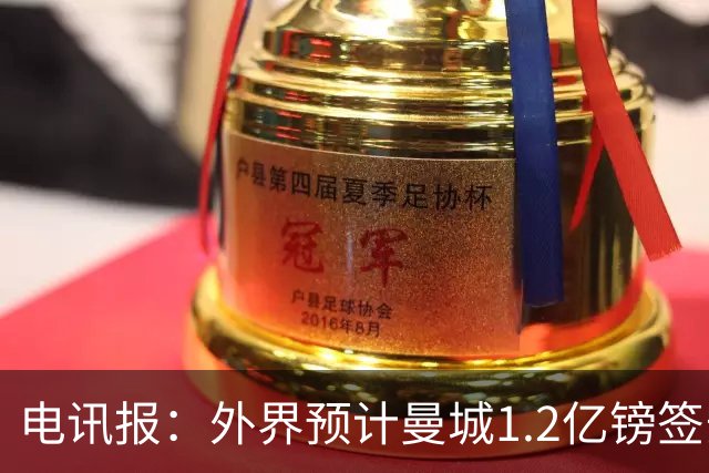电讯报：外界预计曼城1.2亿镑签安德森 担忧这一价格引发连锁反应